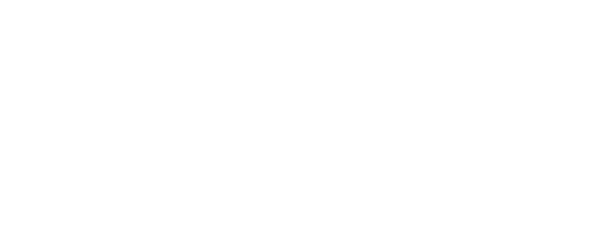 IATA Ground Handling Partner